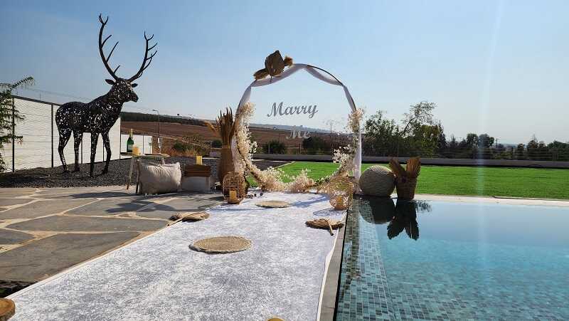 הצעת נישואין: המדריך המלא לתכנון רגע בלתי נשכח